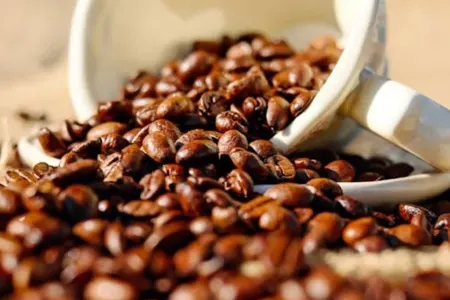 Kofeinin daha bir faydası ortaya çıxdı