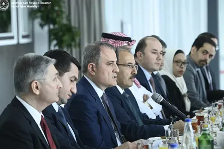 Akkreditə olunmuş səfirlər ilə görüş keçirildi