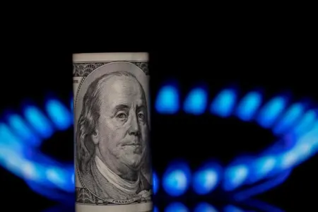 Avropada qazın qiyməti rekord həddə çatdı