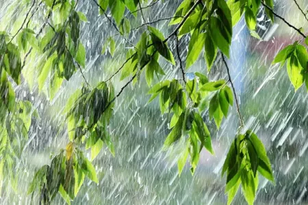 Bəzi yerlərdə leysan yağır - Faktiki hava
