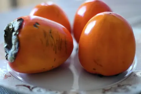 Karalyok ilə xurmanı necə ayırd etmək olar?