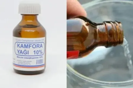 1 manatlıq Kamfora - Nəyi müalicə edir?