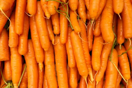 Yerkökü yeməzdən əvvəl bilməli olduğunuz - 10 fakt