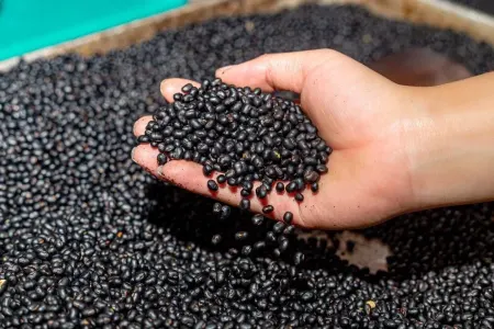 24 saat tox saxlayan - maqnezium mənbəyi qida