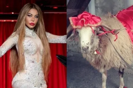 “Aygün Kazımova bunu etsə, qurban kəsəcəyəm”