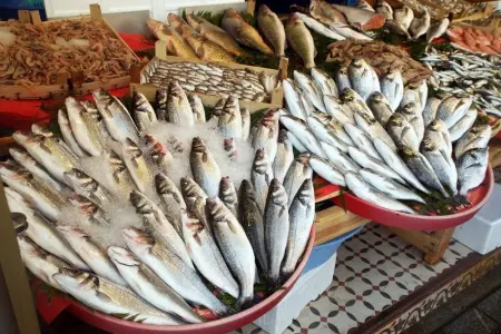 Balığın köhnə olduğunu anlamağın - 5 SADƏ YOLU