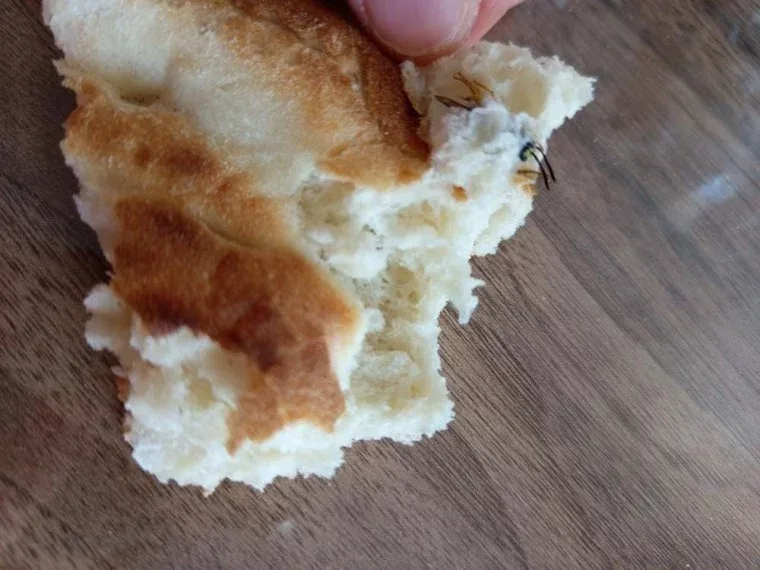 Çörək aldı, içindən arı çıxdı! - FOTO