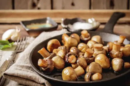 Hansı göbələklər yeyilməlidir? - Professordan açıqlama