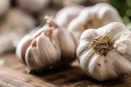 Sarımsaq hər zaman xeyirli deyil