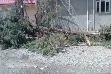 Güclü külək fəsadlar törətdi: - Küçələr işıqsız qaldı
