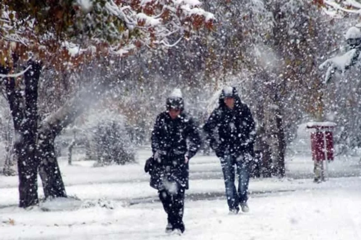 Havalar soyuyacaq: - Qar yağacaq, 10 dərəcə şaxta olacaq