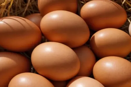 Yumurtaları belə saxlasanız, xarab olmayacaq – - “Amerikan üsulu”