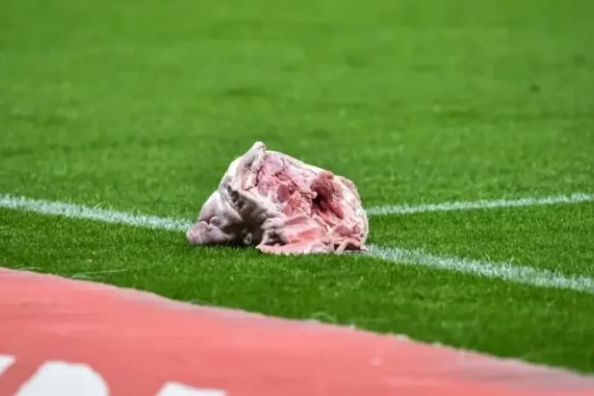 Derbi matçında meydana donuz başı atdılar