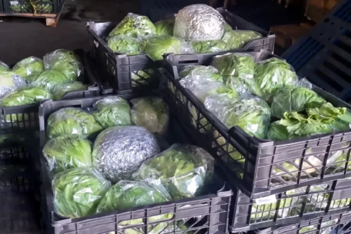 Rusiyaya gedən TIR-da görün nələr çıxdı?