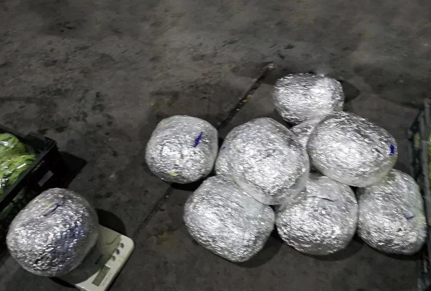 Rusiyaya gedən TIR-da görün nələr çıxdı?