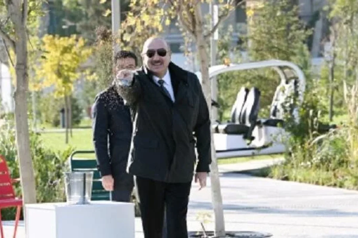 Prezident balıqları yemlədi - Foto