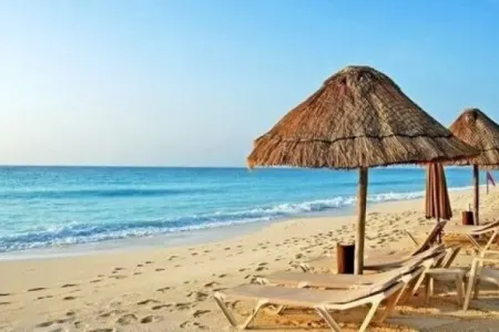 İnsanları qorxuya salan sirli qara toplar - GÖRÜN NƏ İMİŞ - FOTO