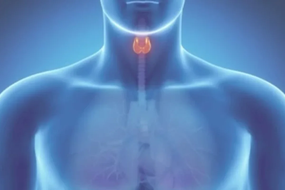 Orqanizmdə yod çatışmazlığını bildirən - 9 əlamət