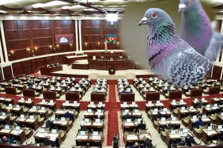 Milli Məclisdə GÖYƏRÇİN MÜZAKİRƏSİ: - "Cərimələnsinlər"