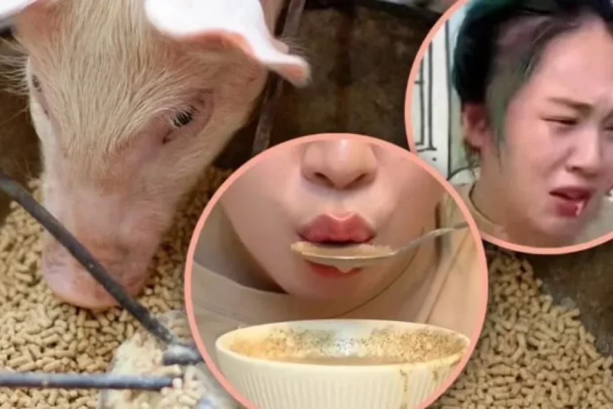 Yeməyə qənaət etsin deyə donuz qidasına keçdi