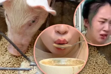 Yeməyə qənaət etsin deyə donuz qidasına keçdi