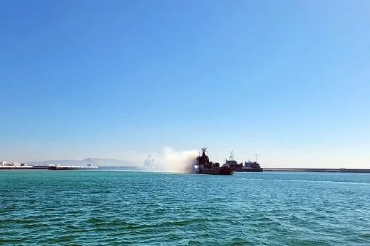 Xəzər dənizində naməlum varlıq görüldü - VİDEO