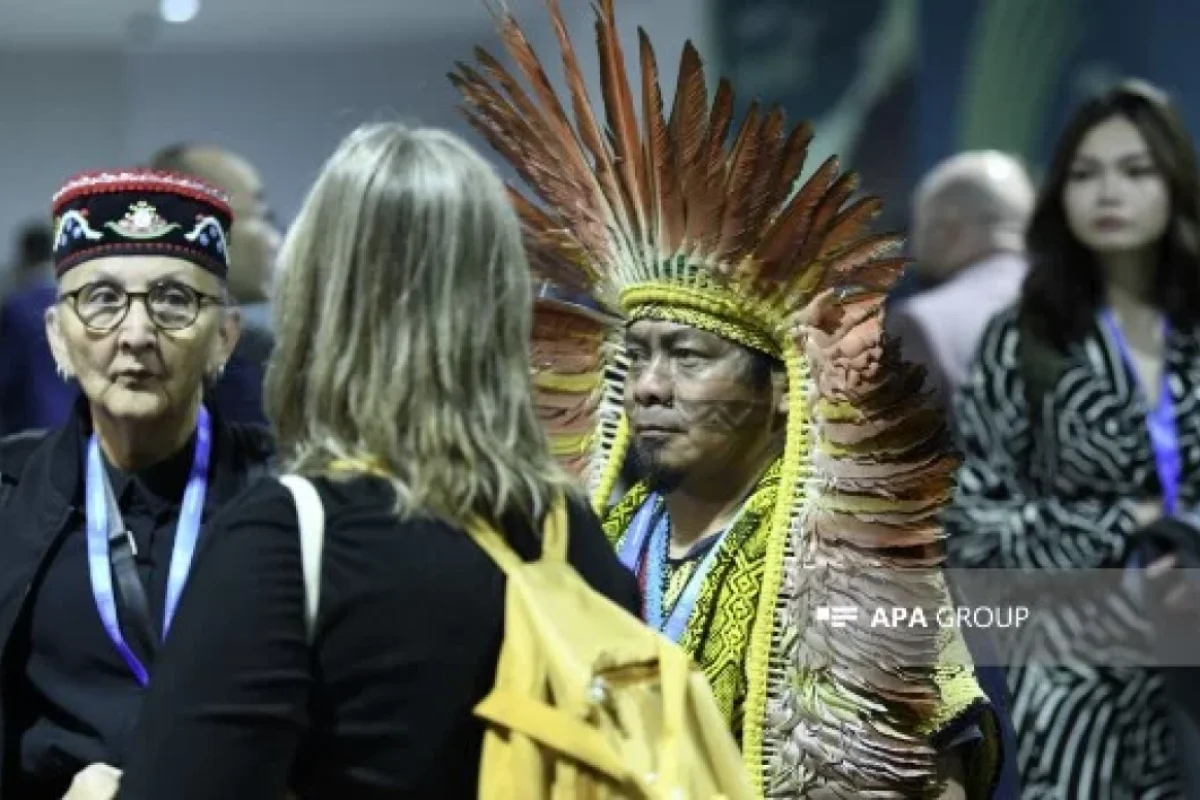 COP29-dan MARAQLI FOTOLAR