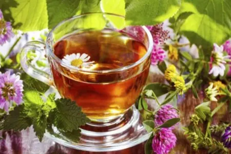 Bitki çayları haqqında vacib məsləhətlər