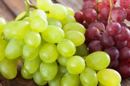 Qırmızı üzümün daha bir faydası tapıldı