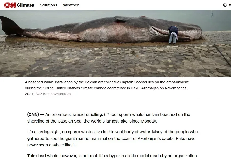 Bakıdakı balina dünya gündəmində - Foto