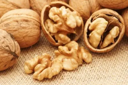 Qoz niyə dildə narahatlıq yaradır?