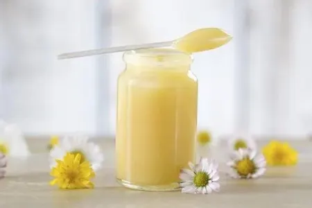 Arı südünün cana faydası
