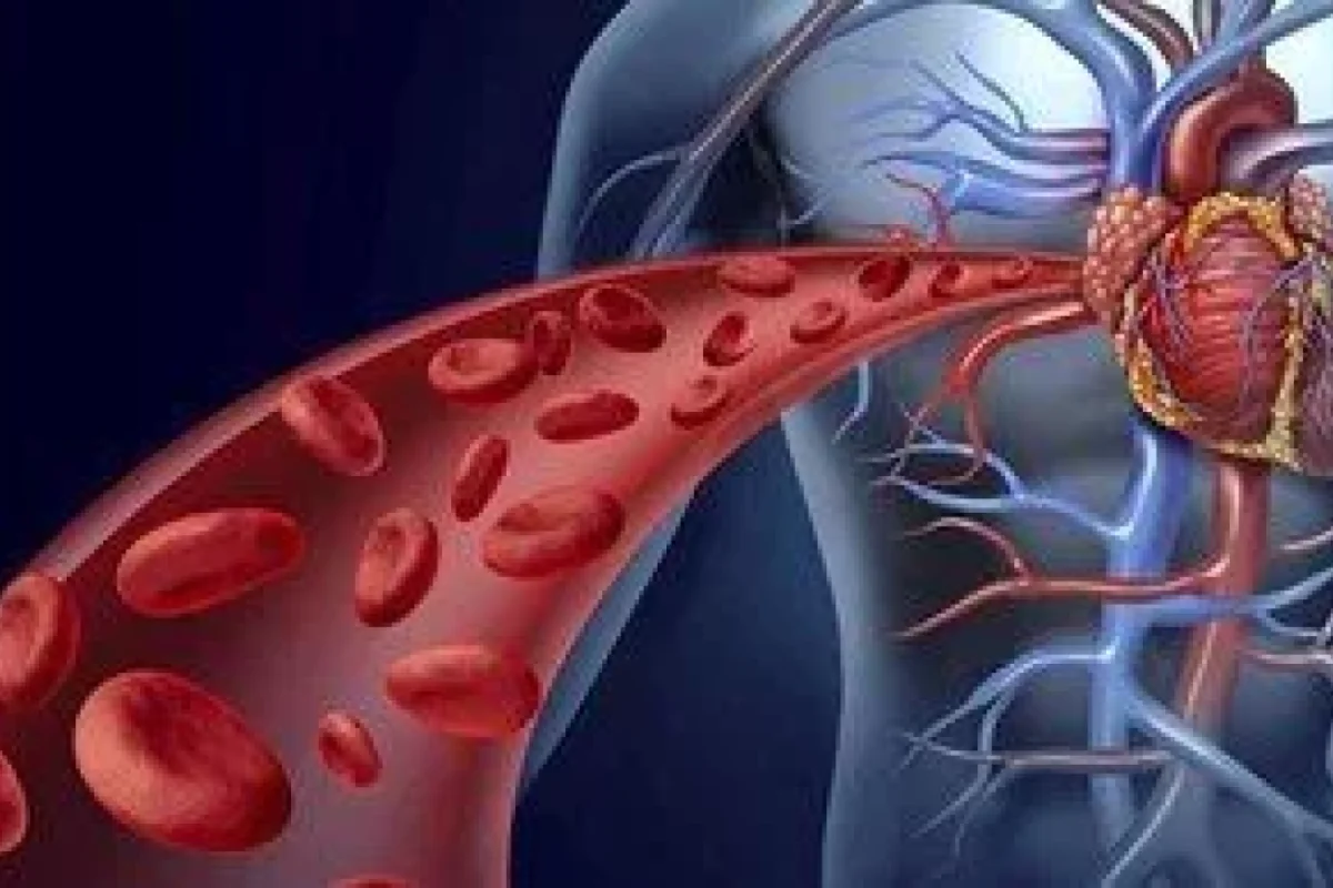 Qanı təmizləyərək damarları gücləndirən - 5 qida