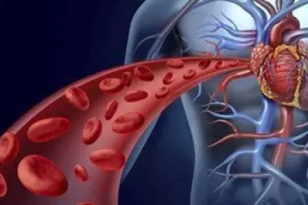 Qanı təmizləyərək damarları gücləndirən - 5 qida