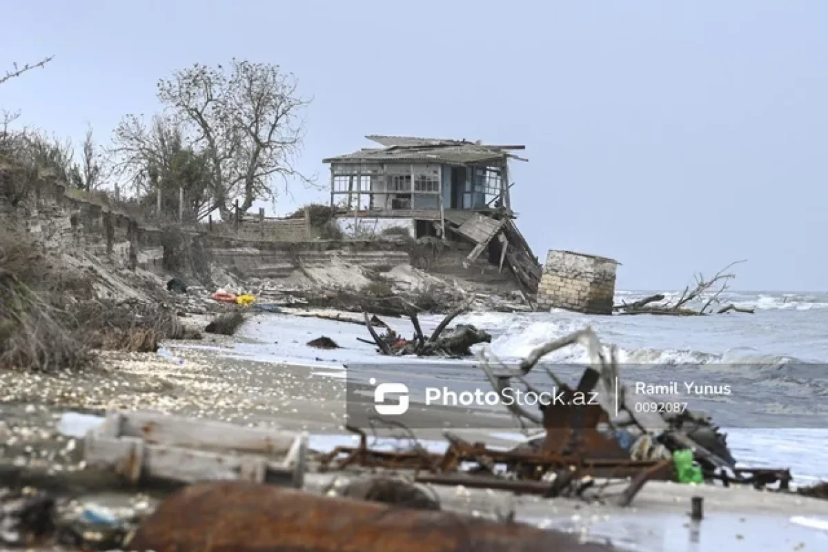 Azərbaycanda 1 sakini olan ada - Hazırda ancaq vəhşi atlar yaşayır