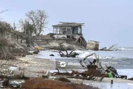 Azərbaycanda 1 sakini olan ada - Hazırda ancaq vəhşi atlar yaşayır