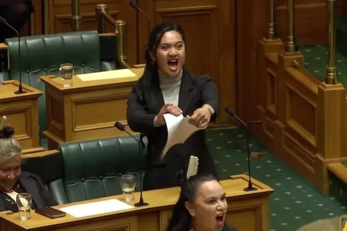 Müxalifət deputatları səsverməyə rəqslə - ETİRAZ ETDİLƏR - VİDEO