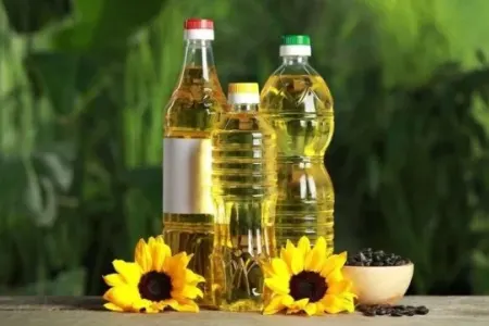 Günəbaxan yağı zərərlidir?