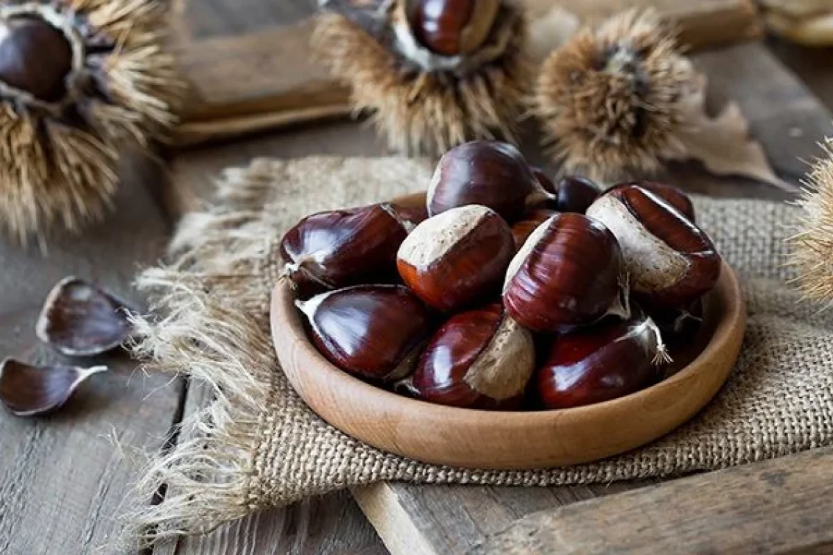 Şabalıdın faydalarından siz də yararlanın!