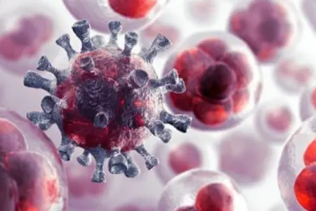 Xərçəngin qarşısını alır, - 10 il cavanlaşdırır