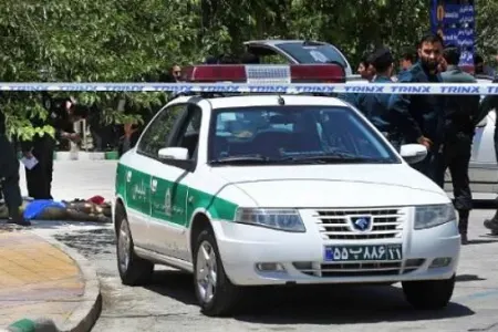 Əsgər polkovniki güllələdi