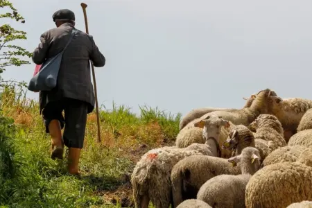 Çobanların üzərinə qaya parçaları düşdü - 1 ölü, 1 yaralı