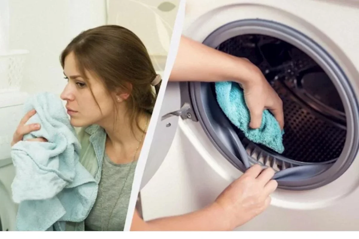 Paltaryuyan maşından xoşagəlməz qoxunu necə dəf etmək olar?