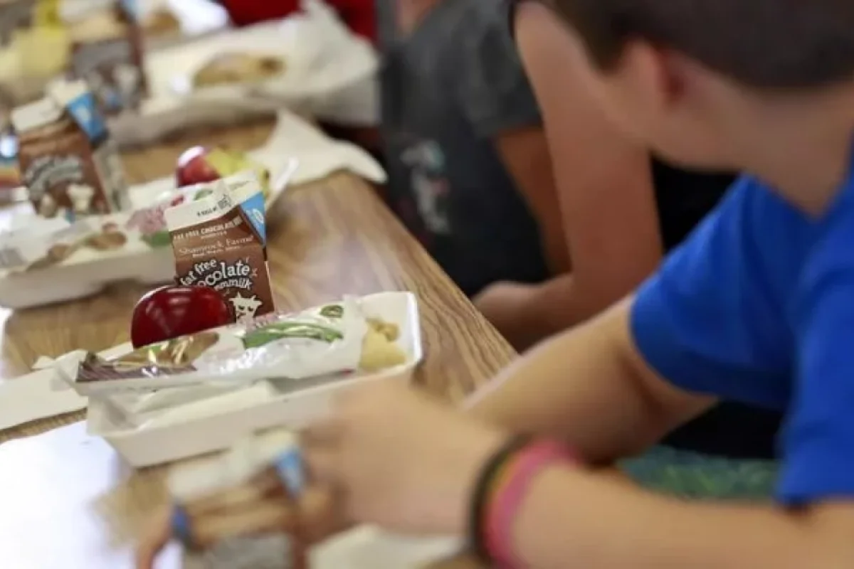 GÖSTƏRİŞ VERİLDİ – Bütün məktəblilərə - PULSUZ YEMƏK VERİLƏCƏK