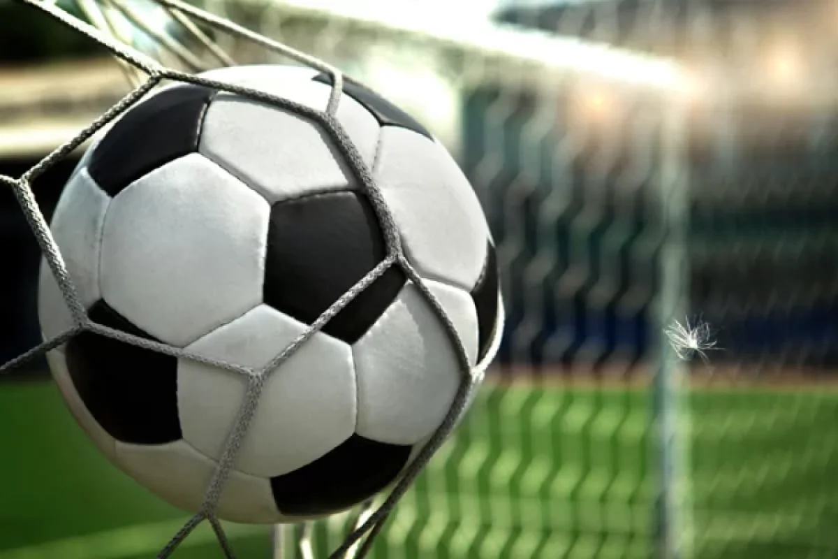 Xalq şairindən Azərbaycan millisi ilə bağlı TƏKLİF