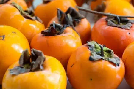 Xurmanın 10 heyrətamiz faydası