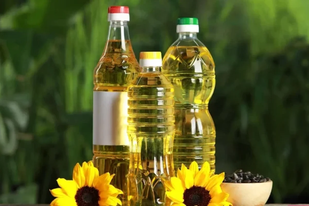 Günəbaxan yağı haqqında çoxlarının bilmədiyi - MARAQLI FAKTLAR