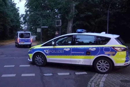 Azarkeşlər arasında QALMAQAL - İşə polis qarışdı