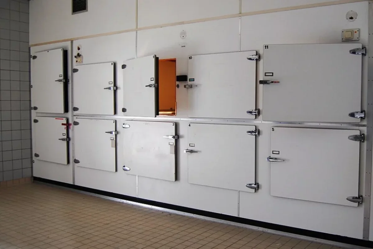 Meyitin gözləri oğurlandı - Morqda ŞOK HADİSƏ