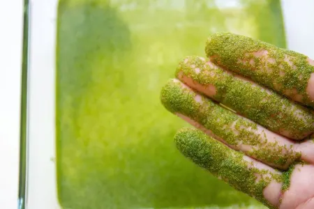 Dərinin qocalması əleyhinə vasitə tapdılar